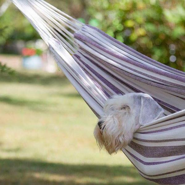 Peruttu: Sealypäivä 2023