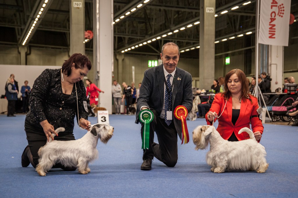 Messukeskuksen näyttelyt 2022