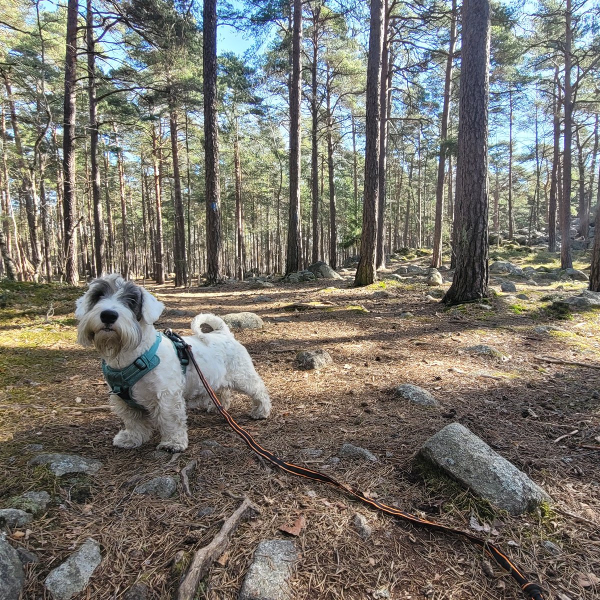 Sealytapaaminen 24.5.2026